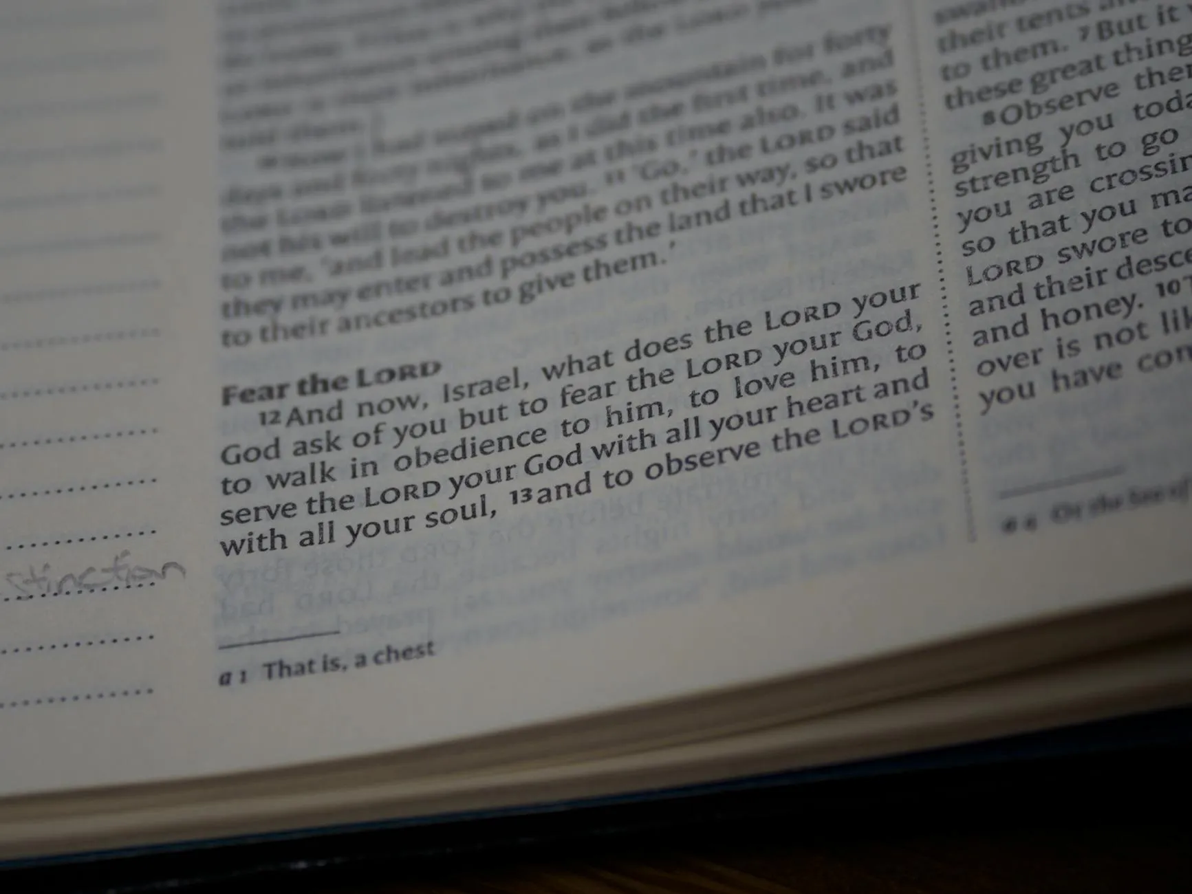 pexels-photo-5685161